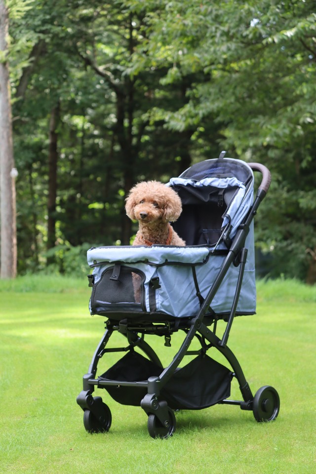 ファーストドッグカート