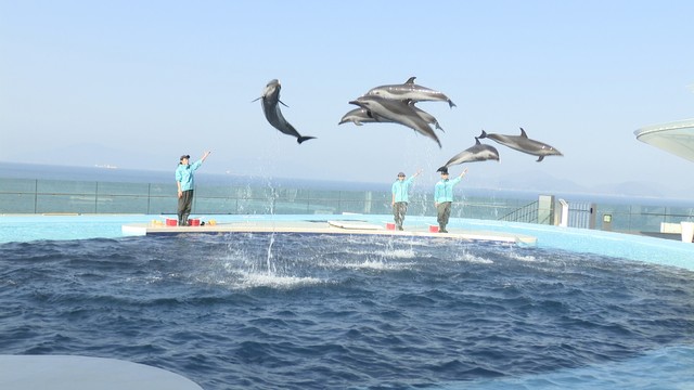 四国水族館（香川・宇多津町）