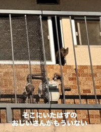 そこにいたはずのおじいさんはそこにはいない（「ねころび」さん提供、Instagramよりキャプチャ撮影）