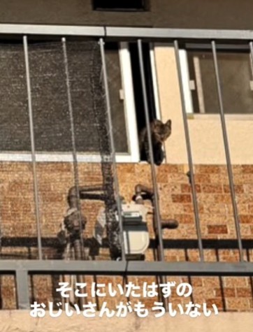 そこにいたはずのおじいさんはそこにはいない（「ねころび」さん提供、Instagramよりキャプチャ撮影）