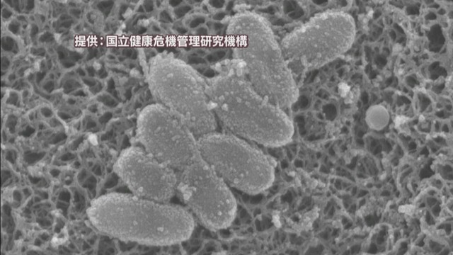 提供：国立健康危機管理研究機構