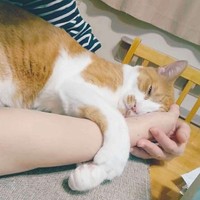 寒くなると腕の中へ潜り込んで甘えてくるフランくん（画像提供：ふうさんちさん）