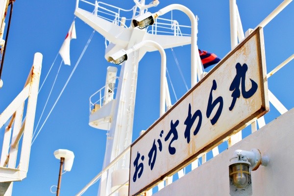 本土と小笠原を結ぶ「おがさわら丸」　※画像はイメージです（nanairo:stock.adobe.com）