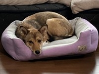 もちふわベッドの気持ち良さを知ってしまった（ご家族より提供）