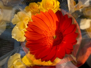 ステンドグラス