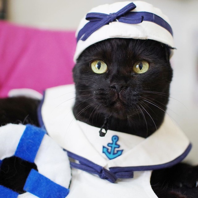 マリンルック、さわやかだね