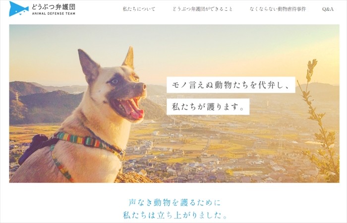 「特定非営利活動法人どうぶつ弁護団」のHPには虐待情報の提供窓口フォームがある。また、この活動に賛同する方は賛助会員になって支援することができる