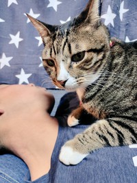 「もう起きなよ〜」とマルちゃん＝nyaokoさん（@naokowatanabe5）提供