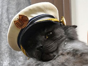 迷い猫「しょこら」、駅長に就任　辞令に「ミャー」と返事