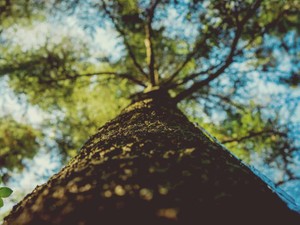 母親でも、働いていても、勉強がしたい私は「いつか」なんて言わない