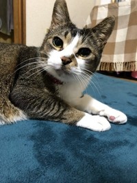 シニアになってもあどけない表情を見せてくれた