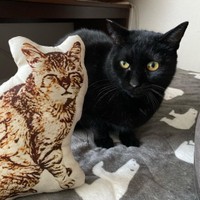 あんた誰にゃ？