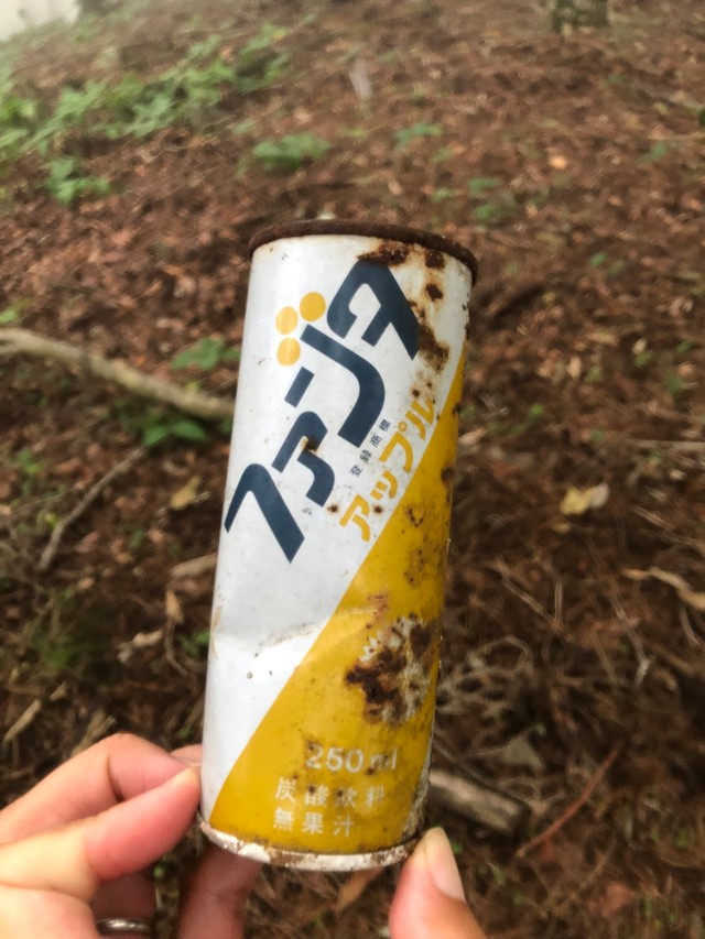 アップルもありました（me_young_sitterさん提供）