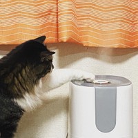 加湿器から出るミストに興味津々