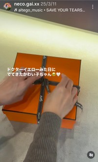 neco(@neco.gai.xx)さんのインスタグラムより