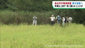 男性と孫が熊に襲われけが　仙台市が現場周辺にわなを設置へ