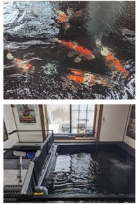 花井組のホームページより