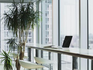 「仕事を舐めるな」と言われるかもしれないけど、やりたいことを探しながら働く