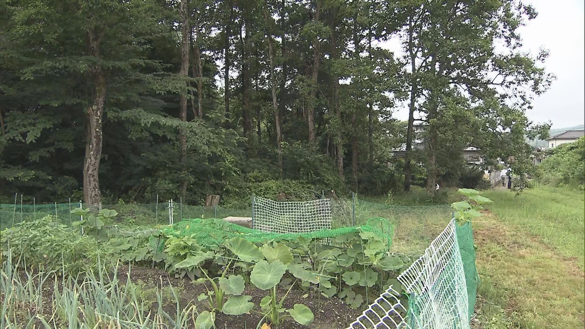 仙台・青葉区で農道を歩いていた女性が熊に襲われる　首や胸などにけが