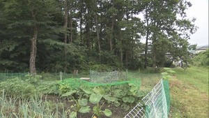 仙台・青葉区で農道を歩いていた女性が熊に襲われる　首や胸などにけが