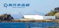 世界一のクラゲ展示で知られる加茂水族館（提供）