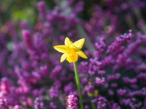 名字が同じじゃなきゃ、世代を超えて守りたいものは受け継げないの？