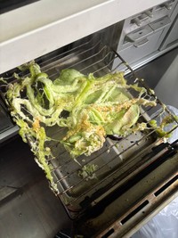 グリルで茄子を焼いていたら…（雑種犬☆永遠（とわ）TOWA【公式】提供）