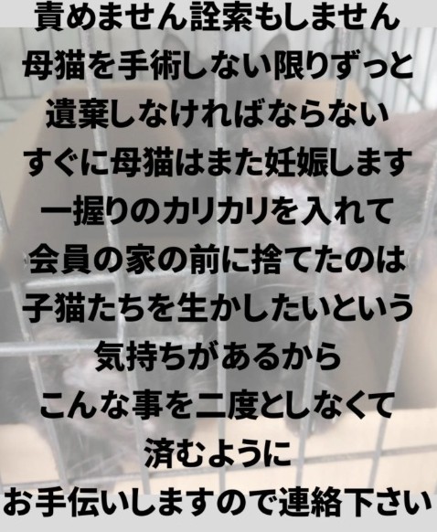 「寝屋川さくらねこの会」では、子猫を捨てた本人へ直接相談してほしいとInstagramで訴える（「寝屋川さくらねこの会」さん提供、Instagramよりキャプチャ撮影）