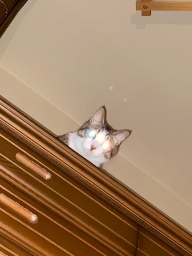 たんすの上からビームを出すジャッキー