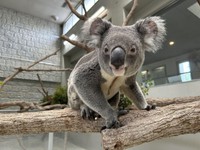 最近のノゾム (1)表情からリラックスしているのがわかります