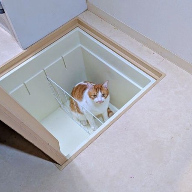 14年ぶりに床下収納を発見！ 驚きの瞬間を激写（画像提供：まりもんさん）