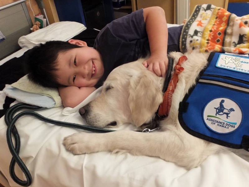 この男の子は、ベイリーに出会うまで犬が苦手だったのだとか