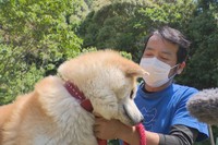 保護された秋田犬に触れる東條仁志さん