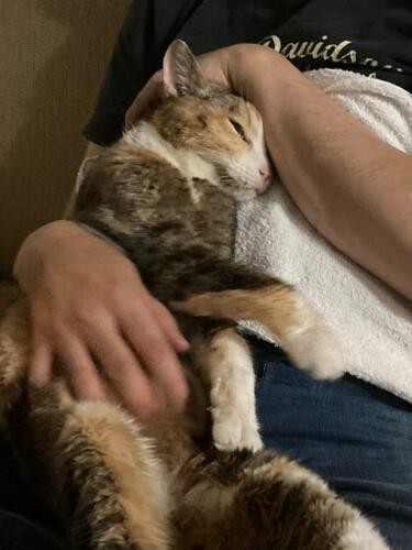 大好きなパパに抱かれる幸せそうなデュウちゃん。とても気持ちよさそう（デュウちゃんママ提供）