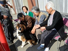 殺処分予定の犬、高齢者施設でセラピー犬に　訓練費支援に課題