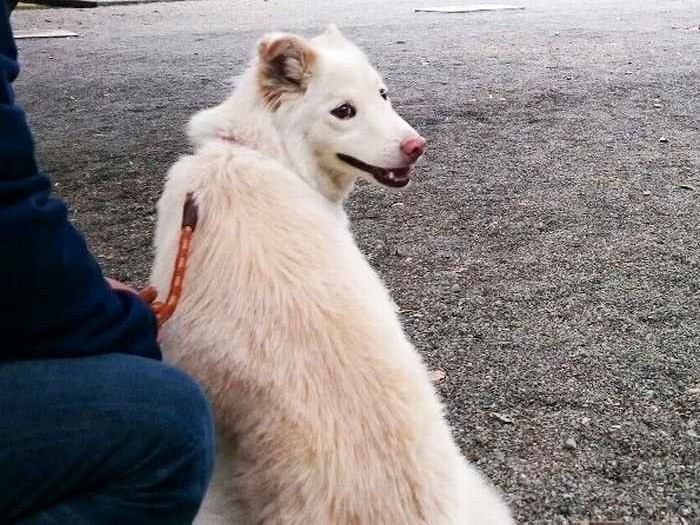 お散歩って楽しいね