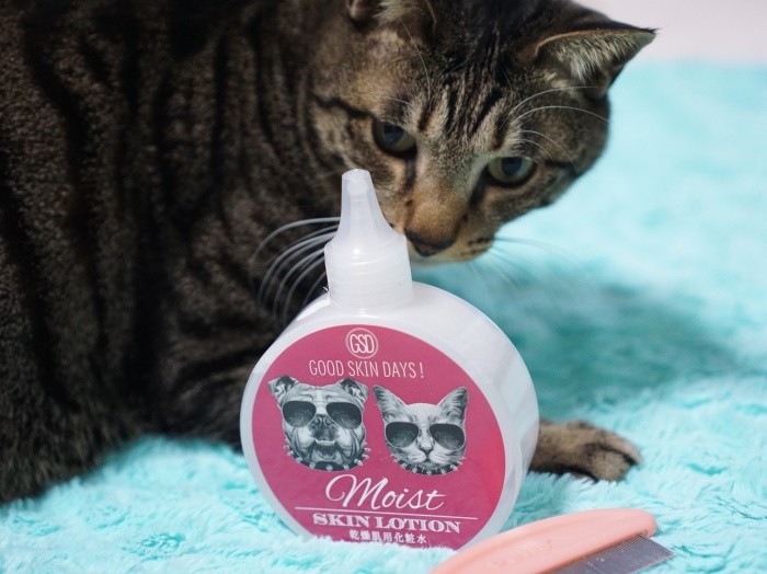 いつになく“猫密”な日々のなかフケが出たはっぴーを、化粧水でお手入れ