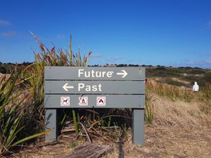 大学卒業後の４年間。入社数か月で退職後は、大変なことばかり