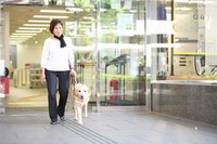 3匹の盲導犬がセアまりさんの世界を広げてくれた。写真は2代目・ベーチェル（写真提供=セアまり）