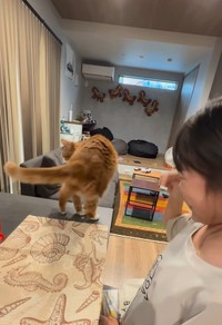 おまわりもできるんです（「W＊S」さん提供、Instagramよりキャプチャ撮影）