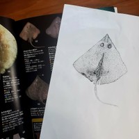 【漫画】『自己肯定感』9（幸せまつ子さん提供）