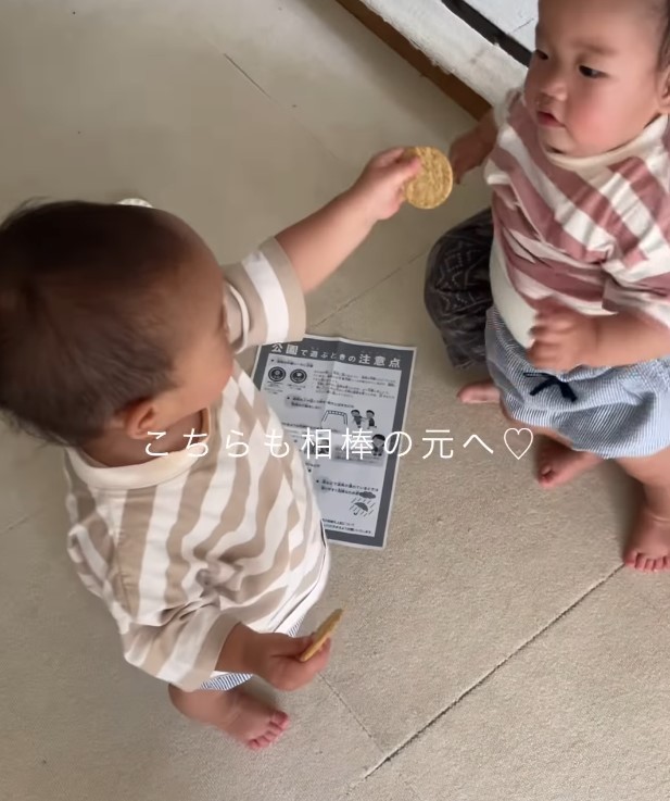 兄、姉を通り過ぎて双子ちゃんの相棒の元へ…！（提供：＠94_minimumさん）