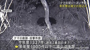 クマの出没　２０２４年度は減少の見込み　宮城県がシーズン予報を発表
