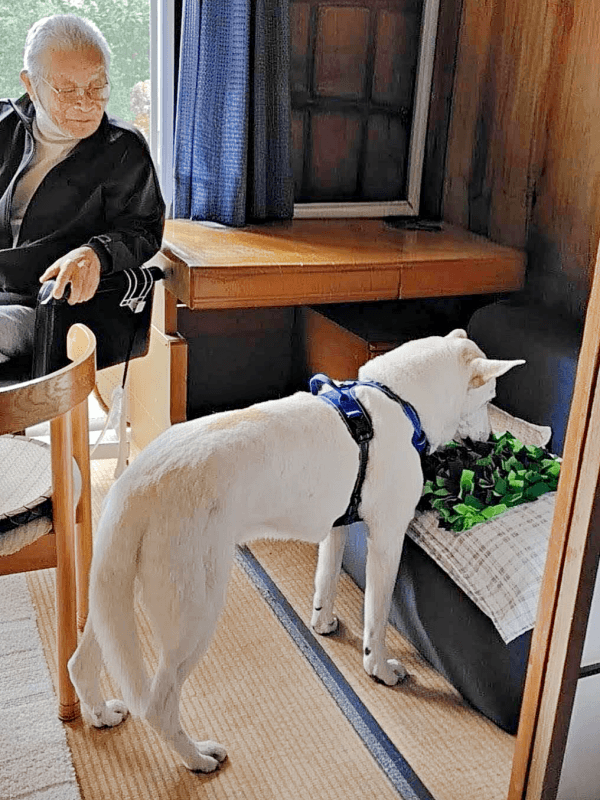 「ノーズワークマット」を使うテラゾーくんを優しく見つめるじぃじ（画像提供：テラゾーさん）