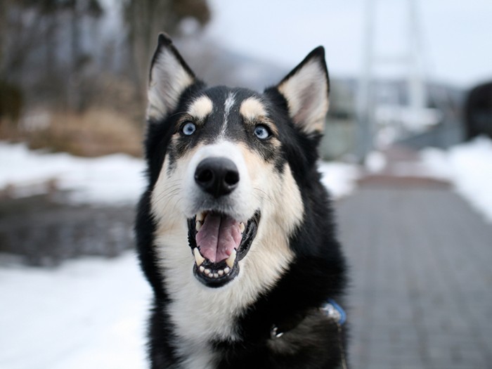 「富士丸探検隊」で群馬の渓山荘（閉館）に行ったとき