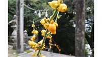 フォックスフェイス（提供：JA晴れの国岡山）