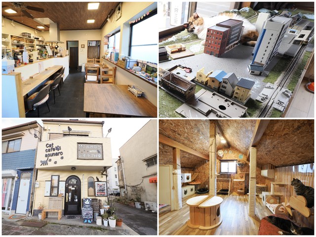 店は２０２０年にオープン。山陽電鉄・西新町駅から徒歩１分（左下）、１階はランチなどが楽しめる飲食スペース（左上）、２階にはジオラマを設置（右上）、３階は屋根裏スペース（右下）。隠れ家にいる気分で猫たちと触れ合える