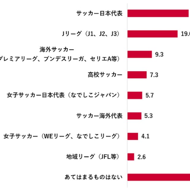サッカーで普段見たり、気にしたりしているもの