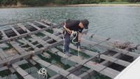 瀬戸内市と備前市で6月から海水温度と塩分濃度を24時間調査 岡山県提供