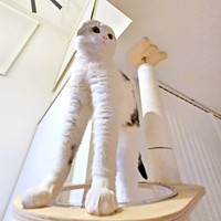 足がながーいセラくん（画像提供：今日、セラさん）